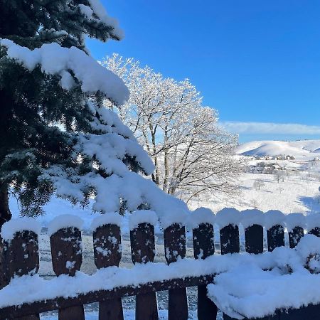 Guest House Vila Djokic Zlatibor Exterior foto